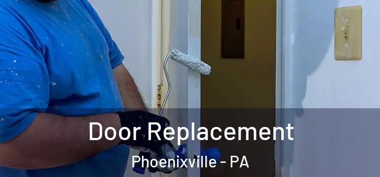 Door Replacement Phoenixville - PA