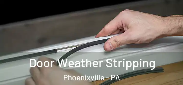 Door Weather Stripping Phoenixville - PA