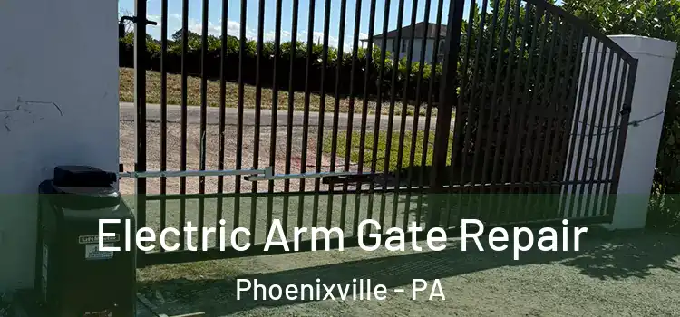Electric Arm Gate Repair Phoenixville - PA