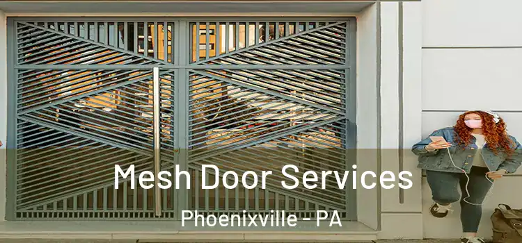 Mesh Door Services Phoenixville - PA